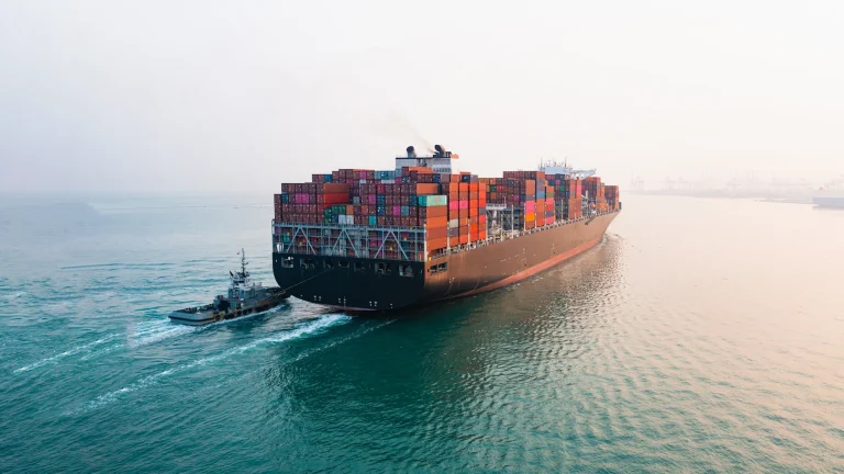 Understanding Customs Representation: Direct vs. Indirect Representation