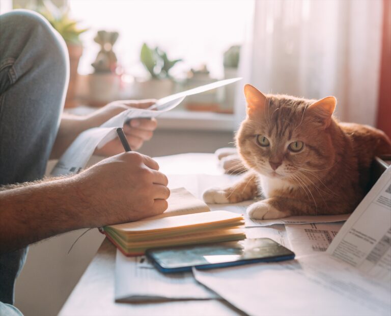 Whisker: Supporting Smarter EU Market Entry